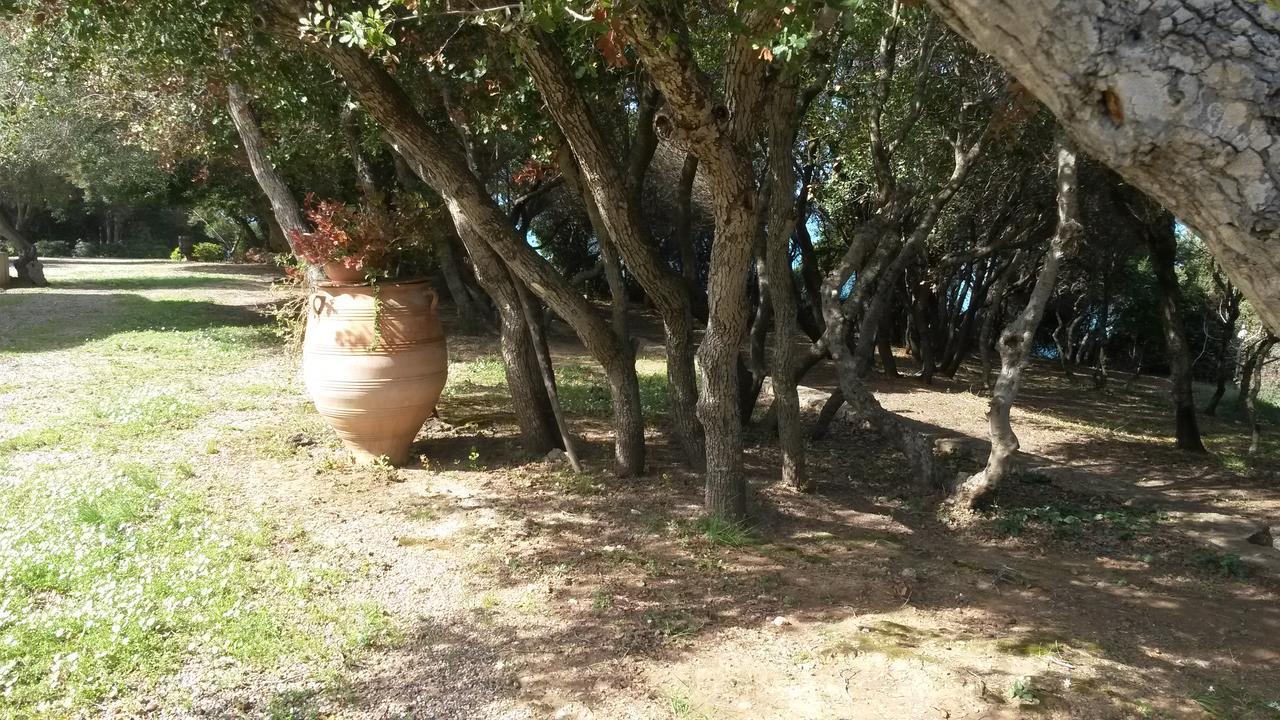 Villa Feia Katakolo Zewnętrze zdjęcie