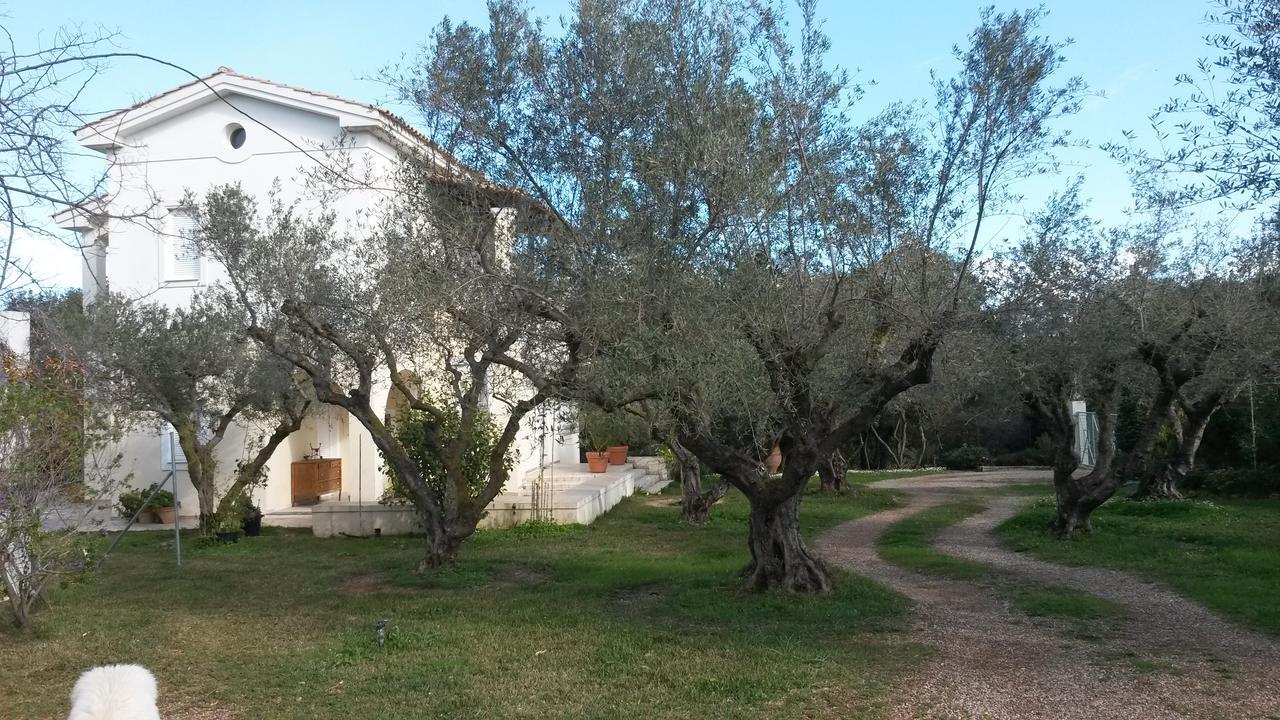 Villa Feia Katakolo Zewnętrze zdjęcie